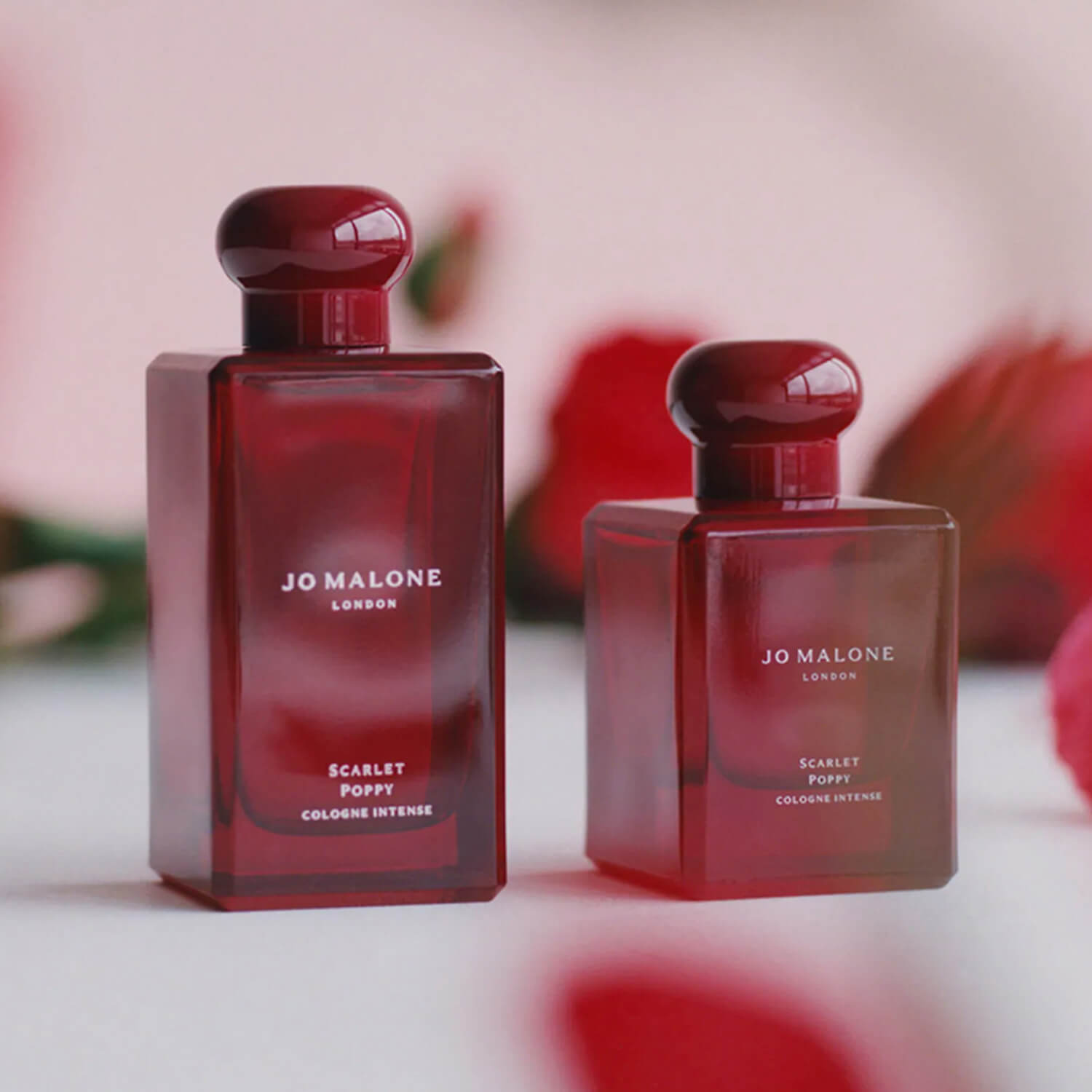 SCARLET POPPY PREPACK COLOGNE INTENSE